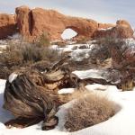 Arches National Park - Utah 